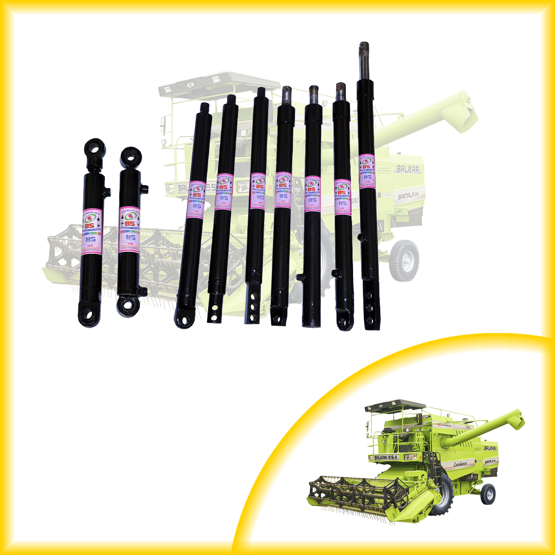 B.S. Hydraulic Industry